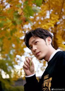 迪丽热巴白宇爆料视频,幕后真相引热议  第1张